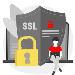 ssl certificate provider in noida